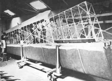 HORSA GLIDER-wing