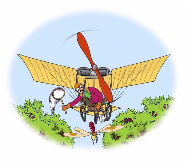 Santos-Dumont's Demoiselle orginal artwork by Derek Roberts