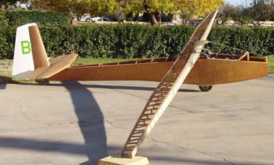 Duster bones