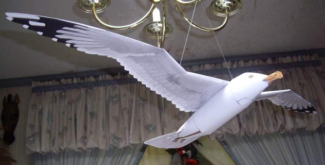 Sea Gull caught on lamp