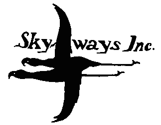 Sky Logo