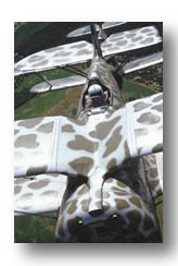 Polikarpov-I-153